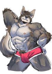  1boy abs animal_ears arm_behind_back armpit_hair bara boxers commentary coyote_boy echo_project english_commentary furry furry_male hand_on_own_hip highres kurukakuu male_focus male_underwear muscular muscular_male nipples pectorals pubic_hair red_male_underwear scar scar_on_face scar_on_mouth tail the_smoke_room topless_male underwear white_background william_adler_(the_smoke_room) wolf_ears wolf_tail 