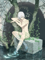  1boy arm_tattoo bishounen blue_eyes chest_tattoo colored_eyelashes feet full_body hair_between_eyes highres looking_at_viewer male_focus monster_boy navel nayu nude open_mouth original outdoors plant plant_boy roots silver_hair sitting solo tattoo tentacles water  rating:Sensitive score:16 user:danbooru