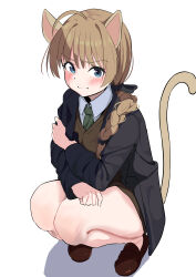  8sjqzhap4pupzkc absurdres animal_ears blue_eyes blush brown_footwear brown_hair cat_ears cat_girl cat_tail green_necktie highres necktie school_uniform squatting strike_witches tail world_witches_series  rating:Sensitive score:3 user:danbooru