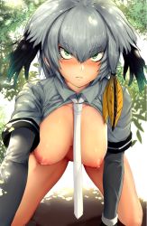 10s 1girl all_fours alternate_breast_size bare_legs black_hair blush bottomless breasts breasts_apart closed_mouth collared_shirt dappled_sunlight day green_eyes grey_hair grey_shirt hair_between_eyes kemono_friends large_breasts layered_sleeves long_hair long_sleeves looking_at_viewer low_ponytail multicolored_hair necktie nipples no_bra nose_blush open_clothes open_shirt orange_hair outdoors pekoneko shirt shoebill_(kemono_friends) short_over_long_sleeves short_sleeves side_ponytail solo sunlight tsurime white_necktie wing_collar rating:Questionable score:26 user:danbooru
