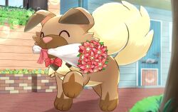  all_fours blurry blurry_foreground body_fur bouquet bow bowtie brown_fur closed_eyes creatures_(company) dog door flower game_freak gen_7_pokemon holding holding_bouquet kotaro_aida mouth_hold nintendo pink_bow pink_bowtie pokemon pokemon_(creature) rockruff tree walking 