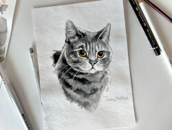  animal animal_focus artist_name cat commentary commission cropped_torso english_commentary fishytheegg greyscale monochrome no_humans original photo_(medium) realistic solo spot_color traditional_media upper_body yellow_eyes 