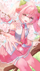  1girl arm_support artist_name bare_shoulders blue_sky breasts cherry_blossoms cherry_hair_ornament collared_shirt commentary_request day detached_sleeves fingernails food-themed_hair_ornament grass hair_between_eyes hair_flowing_over hair_ornament hatsune_miku head_tilt highres long_hair long_sleeves looking_at_viewer miniskirt necktie open_mouth outdoors pink_eyes pink_hair pink_necktie pink_skirt pink_sleeves pink_thighhighs pleated_skirt reaching reaching_towards_viewer sakura_miku shirt sidelocks sitting sitting_on_branch skirt sky sleeveless sleeveless_shirt small_breasts smile solo teeth thighhighs twintails urara_31_e vocaloid white_shirt white_trim 