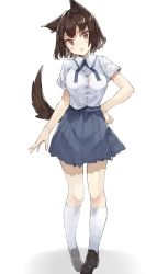 1girl animal_ears bad_id bad_pixiv_id black_footwear blue_ribbon blue_skirt blush breasts brown_eyes brown_hair collared_shirt commentary_request dog_ears dog_girl dog_tail fang full_body hand_on_own_hip head_tilt highres kneehighs large_breasts loafers looking_at_viewer neck_ribbon original parted_lips pleated_skirt ribbon school_uniform shadow shirt shirt_tucked_in shoes short_hair short_sleeves simple_background skirt socks solo standing suminagashi tail thighs v-shaped_eyebrows white_background white_shirt white_socks rating:Questionable score:9 user:danbooru