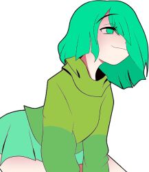  amber_lightvale glitchtale green_eyes green_hair green_shirt green_skirt shirt short_hair skirt smile wearing_clothes  rating:Explicit score:3 user:Montegago