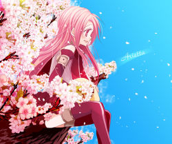 00s 1girl arietta_(tales) asrhion cherry_blossoms female_focus long_hair nature outdoors petals pink_eyes pink_hair plant profile purple_thighhighs sitting sky smile solo tales_of_(series) tales_of_the_abyss thighhighs tree rating:Sensitive score:4 user:danbooru