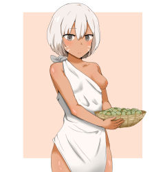 1girl :| bad_id bad_pixiv_id bare_arms bare_shoulders basket bob_cut border carrying closed_mouth collarbone commentary_request cowboy_shot dark-skinned_female dark_skin dot_nose expressionless facepaint grey_eyes hair_between_eyes highres holding holding_basket looking_at_viewer nipples off_shoulder one_breast_out original outside_border parted_bangs pelvic_curtain pink_background raised_eyebrows risu_(akaneika) shiny_skin short_eyebrows short_hair silver_hair simple_background sleeveless solo standing toga tribal white_border rating:Questionable score:32 user:danbooru