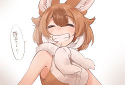  1girl animal_ears blush brown_hair commentary dhole_(kemono_friends) dog_ears dog_girl dog_tail facing_viewer fur_scarf grin highres isobee kemono_friends kemono_friends_3 messy_hair multicolored_hair scarf shirt short_hair sleeveless sleeveless_shirt smile tail translated two-tone_hair upper_body white_background white_hair white_scarf white_shirt  rating:Sensitive score:7 user:danbooru