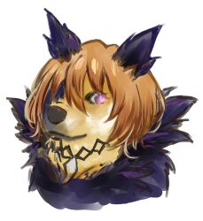  1girl animal_ears closed_mouth dainatsu dog doge don_quixote_(project_moon) e.g.o_(project_moon) feather_trim glowing glowing_eye hair_between_eyes jewelry limbus_company looking_at_viewer meme necklace one_eye_covered orange_hair project_moon purple_eyes realistic shiba_inu short_hair simple_background smile solo white_background  rating:General score:8 user:danbooru