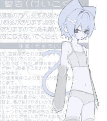  1girl :3 absurdres am314 animal_ears bandaid bandaid_on_leg bandaid_on_stomach black_eyes blue_hair blue_tail breasts cat_ears cat_girl cat_tail closed_mouth collarbone commentary_request cowboy_shot detached_sleeves extra_ears fish_skeleton_hair_ornament grey_pants grey_sports_bra grey_thighhighs hair_intakes highres long_sleeves looking_at_viewer muted_color navel original pale_skin panties pants ribs short_hair small_breasts solo sports_bra tail thighhighs translation_request underwear 