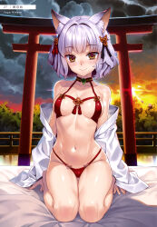  1girl absurdres animal_ear_fluff animal_ears artist_name bare_legs bed_sheet bikini blush breasts brown_eyes cleavage closed_mouth collarbone day fox_ears groin highres jewelry kneeling looking_at_viewer magatama magatama_necklace medium_breasts medium_hair navel necklace original outdoors red_bikini smile solo swimsuit thigh_gap white_hair yaya_hinata 