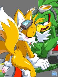 2boys anus ass blush coolblue cum cum_in_mouth furry goggles jet_the_hawk male_focus multiple_boys oral penis sega shiny_skin shoes shota sneakers socks sonic_(series) sweat tails_(sonic) uncensored yaoi  rating:Explicit score:28 user:Domestic_Importer