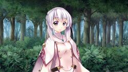  1girl atelier-moo belt braid braided_bun breasts brown_eyes capelet closed_mouth commentary_request forest hair_between_eyes hair_bun highres jewelry long_sideburns long_sleeves looking_at_viewer lutie nature necklace our_battle_has_just_begun! sideburns solo standing upper_body white_capelet white_hair 