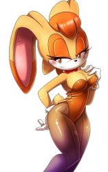 animal_ears blush breasts cleavage furry mature_female smile sonic_(series) tail vanilla_the_rabbit rating:Questionable score:16 user:Furio