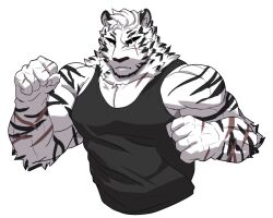  1boy animal_ears arknights bara black_tank_top clenched_hands cropped_torso fighting_stance furry furry_male large_pectorals looking_ahead male_focus mountain_(arknights) muscular muscular_male orpiam pectoral_cleavage pectorals scar scar_across_eye short_hair solo tank_top thick_eyebrows tiger_boy tiger_ears white_hair 