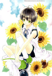  azumi_tooru flower green_eyes ribbon socks solo sunflower tohru_adumi 