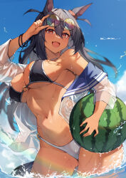  1girl :d absurdres adjusting_eyewear animal_ears bikini black_bikini blue_hair blue_sky blush bracelet breasts cleavage dark-skinned_female dark_blue_hair dark_skin ear_ornament ear_scrunchie fang gluteal_fold hair_between_eyes hair_ornament hairclip hand_up highres hishi_amazon_(umamusume) holding_watermelon horse_ears horse_girl horse_tail jewelry large_breasts long_hair looking_at_viewer misoni_(mi_so_ni_t) navel o-ring o-ring_bikini open_clothes open_mouth open_shirt outdoors red_eyes red_scrunchie round_eyewear scrunchie shirt sky sleeves_rolled_up smile solo splashing stomach swimsuit tail thighs umamusume very_long_hair water wet wet_clothes wet_shirt white_bikini white_shirt 