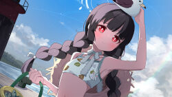 1girl ame. animal animal_on_head arm_up armpits bare_arms bare_shoulders bikini bird black_hair blue_archive blue_sky blush braid brown_hat closed_mouth cloud commentary_request day fish halo hat hat_on_back highres holding leaf_print long_hair looking_at_viewer low_twintails miyu_(blue_archive) miyu_(swimsuit)_(blue_archive) navel on_head outdoors print_bikini red_eyes seagull sky solo straw_hat sweat swimsuit twin_braids twintails very_long_hair wavy_mouth white_bikini x_x rating:Sensitive score:6 user:danbooru