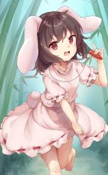 1girl animal_ears bamboo bamboo_forest barefoot brown_hair carrot_necklace dress forest inaba_tewi jewelry kedama_milk leg_up looking_at_viewer nature necklace official_art open_mouth outdoors pink_dress rabbit_ears rabbit_tail red_eyes short_hair short_sleeves solo tail third-party_source touhou touhou_cannonball upper_body rating:Sensitive score:19 user:danbooru