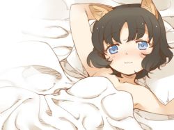  1girl :3 animal_ears arm_behind_head armpits bad_id bad_twitter_id bed bed_sheet black_hair blanket blue_eyes blush cat_ears collarbone looking_at_viewer lying naked_blanket naked_sheet pillow pillow_grab pole_(ppp1409) short_hair smile solo tareme under_covers  rating:Sensitive score:62 user:danbooru
