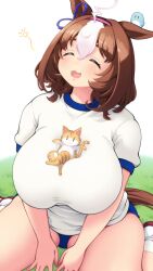 1girl :3 ahoge alternate_breast_size alternate_costume animal animal_ears animal_on_chest animal_on_head bird bird_on_head bloomers blue_buruma bow breasts brown_hair buruma cat closed_eyes commentary_request curvy deto ear_ribbon facing_up grass gym_shirt gym_uniform hair_between_eyes hairband highres horse_ears horse_girl horse_tail huge_breasts medium_hair meisho_doto_(umamusume) meto_(cat) multicolored_hair on_head open_mouth pink_hairband plump shadow shirt shoes short_sleeves sidelocks sitting smile socks squeans tail thick_thighs thighs two-tone_hair umamusume underwear wariza white_background white_footwear white_hair white_socks
