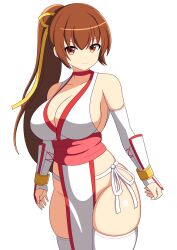  1girl bare_shoulders breasts brown_eyes brown_hair cleavage dead_or_alive gians_noby highres kasumi_(doa) large_breasts long_hair ninja pelvic_curtain ponytail sideboob thighhighs white_background  rating:Questionable score:13 user:zombiespacial