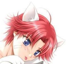  animal_ears bandages blue_eyes blush cat_ears kikumaru_eiji lowres red_hair tennis_no_ouji-sama tongue  rating:Sensitive score:4 user:kiwikisses1