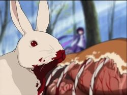  blood rabbit forest guro nature organs rabbit_of_caerbannog source_request third-party_edit tree what  rating:Questionable score:11 user:inu_gurl_05
