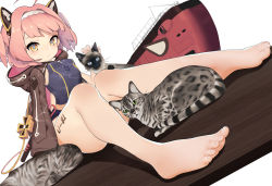  1girl absurdres ahoge azur_lane barefoot blue_one-piece_swimsuit breasts brown_jacket cat character_name chinese_commentary commentary_request cross diamond-shaped_pupils diamond_(shape) feet frown hair_intakes hairband highres hood hood_down hooded_jacket iron_cross jacket looking_at_viewer one-piece_swimsuit pink_hair short_hair sidelocks sitting small_breasts solo submarine swimsuit symbol-shaped_pupils tattoo toes u-81_(azur_lane) watercraft woc_(2072878058) yellow_eyes 