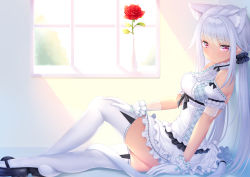  1girl animal_ears bare_shoulders cat_ears cat_tail day flower gloves indoors long_hair looking_at_viewer original profile red_eyes red_flower red_rose rose sitting solo tail thighhighs white_gloves white_hair white_thighhighs window zizi_(zz22) 