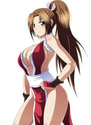  1girl breasts fatal_fury highres large_breasts lewdamone light_smile looking_at_viewer no_bra ponytail shiranui_mai simple_background smile solo  rating:Sensitive score:62 user:jojosstand