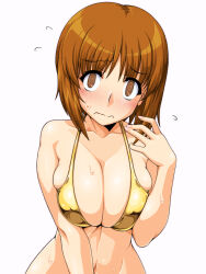  1girl @_@ bikini blush breasts brown_eyes brown_hair cleavage closed_mouth collarbone embarrassed flying_sweatdrops girls_und_panzer gold_bikini hand_up highres large_breasts looking_at_viewer navel nishizumi_miho oosaka_kanagawa short_hair simple_background skindentation solo stomach swimsuit upper_body wavy_mouth white_background  rating:Sensitive score:8 user:danbooru