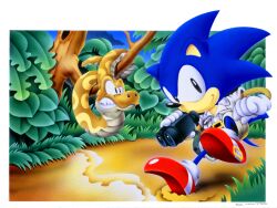 1boy animal_ears binoculars black_eyes blue_fur blue_sky bmp-to-png_conversion closed_mouth furry furry_male gloves grass hedgehog holding male_focus non-web_source official_art red_footwear sand short_sleeves sky snake sonic_(series) sonic_the_hedgehog teeth tree white_background white_gloves rating:General score:2 user:WinDGo