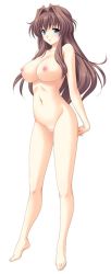  1girl barefoot blue_eyes breasts brown_hair censored feet full_body kuroda_akimi large_breasts long_hair mosaic_censoring navel nude shirotsuka_hina simple_background smile solo standing wedding_blue white_background  rating:Explicit score:38 user:yoanyoan