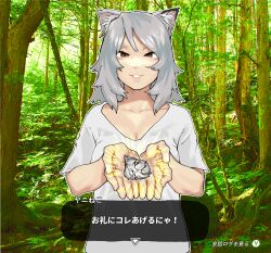  1girl absurdres animal_ear_fluff animal_ear_piercing animal_ears breasts brown_eyes cat_ears cat_girl cleavage commentary_request cupping_hands day dialogue_box fang forest furball glowing grey_hair hands_up highres holding large_breasts looking_at_viewer medium_hair nature open_mouth osatou outdoors outline own_hands_together photo_background short_sleeves skin_fang smile solo standing translation_request upper_body white_outline yani_neko yani_neko_(yani_neko) 