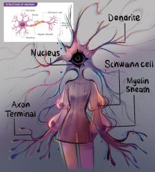  1girl biology cell_(biology) cyclops diagram dress educational english_text eyelashes facing_viewer feefal glitch highres label looking_up monster_girl no_mouth one-eyed original personification purple_dress see-through see-through_sleeves standing thighs  rating:General score:38 user:danbooru