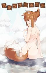  animal_ears arm_support ass atorosu brown_hair covering_privates from_behind hair_up holo looking_back naked_towel nude nude_cover onsen red_eyes smile solo spice_and_wolf steam tail towel water wolf_ears wolf_tail  rating:Questionable score:47 user:Chronoes