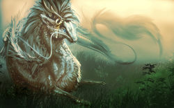  asian_dragon dragon fur grass highres mane white_theme  rating:Sensitive score:2 user:polycount