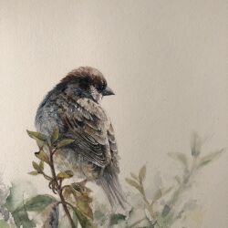  animal bird branch brown_background eurasian_tree_sparrow highres leaf mouen_tw no_humans original painting_(medium) plant realistic sparrow traditional_media watercolor_(medium) 