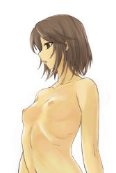  1girl arms_at_sides brown_eyes brown_hair eyelashes flat_chest michael_f91 nipples original short_hair simple_background solo topless white_background  rating:Questionable score:19 user:danbooru