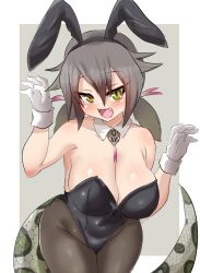  1girl akaisuto animal_ears bare_arms bare_shoulders black_leotard blush border breasts cleavage covered_navel cowboy_shot detached_collar fake_animal_ears fangs gloves green_eyes grey_hair grey_pantyhose hair_between_eyes hands_up highleg highleg_leotard highres kemono_friends large_breasts leaning_forward leotard long_hair looking_at_viewer low_twintails multicolored_hair okinawa_habu_(kemono_friends) open_mouth outside_border pantyhose playboy_bunny rabbit_ears red_hair slit_pupils smile snake_tail solo strapless strapless_leotard tail tsurime twintails two-tone_hair white_border white_gloves wrist_cuffs 