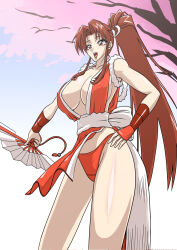 breasts brown_hair fan fatal_fury folding_fan hand_fan japanese_clothes large_breasts long_hair panties shiranui_mai snk the_king_of_fighters tree underwear  rating:Sensitive score:2 user:GMSniper56