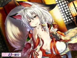 1girl animal_ears bad_id bad_pixiv_id flat_chest fox_ears fox_tail koishi_chikasa long_hair looking_at_viewer navel nipples original smile solo tail tongue tongue_out  rating:Questionable score:10 user:danbooru