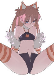  1girl animal_ears ass bandeau bare_shoulders black_shorts blue_eyes breasts brown_hair cat_ears collarbone commentary detached_sleeves fur_collar fur_trim highres kemonomimi_mode long_hair looking_at_viewer micro_shorts midriff navel neon_genesis_evangelion one_side_up open_fly orange_thighhighs shorts simple_background sitting small_breasts solo souryuu_asuka_langley spread_legs stomach striped_clothes striped_thighhighs thighhighs thighs timbougami white_background  rating:Sensitive score:50 user:danbooru