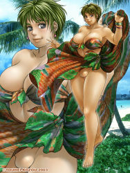 00s 1girl 2003 absurdres artist_name beach bikini bikini_top_only breasts cloud coconut_tree earrings front-tie_bikini_top front-tie_top highres huge_breasts island jewelry large_breasts looking_at_viewer no_panties ocean outdoors palm_tree phaia sarong short_hair sky smile solo spunky_knight standing swimsuit tree youhei_kozou rating:Questionable score:11 user:yes32