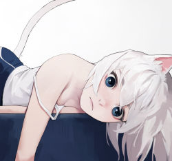 1girl animal_ears bad_id bad_pixiv_id bare_shoulders blue_eyes blue_pants breasts cat_ears cat_girl cat_tail closed_mouth commentary dongho_kang highres looking_at_viewer lying on_stomach original pants shirt short_hair simple_background small_breasts solo strap_slip tail tank_top white_background white_hair white_shirt white_tank_top rating:Sensitive score:55 user:danbooru