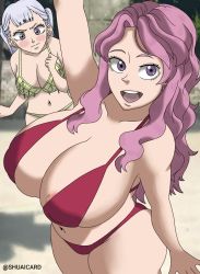  2girls adult areola_slip arms_up beach bikini bikini_bottom bikini_top black_clover blush breasts curvy earrings embarrassed flustered highres jewelry large_breasts long_hair looking_at_viewer multiple_girls navel noelle_silva open_mouth pink_hair public_indecency purple_eyes shuaicard side_boob silver_hair smile swimsuit thick_thighs thighs two_piece_swimsuit vanessa_enoteca watermark waving wide_hips 