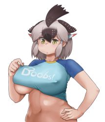  1girl breasts brown_hair clothes_lift covered_erect_nipples eyebrows greater_roadrunner_(kemono_friends) hair_between_eyes hand_on_own_hip head_wings kemono_friends large_breasts lifting_own_clothes navel shirt_lift simple_background solo underboob wings yellow_eyes  rating:Questionable score:7 user:Erobolinho