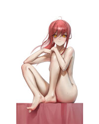  absurdres completely_nude covering_crotch covering_privates feet highres looking_at_viewer makima_(chainsaw_man) mawaw nude red_hair sitting white_background yellow_eyes  rating:Questionable score:28 user:Joylessly6967
