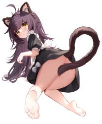 1girl absurdres ahoge all_fours animal_ear_fluff animal_ears barefoot black_dress blush bottomless closed_mouth dress feet from_behind full_body highres long_hair looking_at_viewer looking_back nahaki original puffy_short_sleeves puffy_sleeves purple_hair short_sleeves simple_background soles solo tail tail_censor toes transparent_background yellow_eyes rating:Questionable score:15 user:danbooru